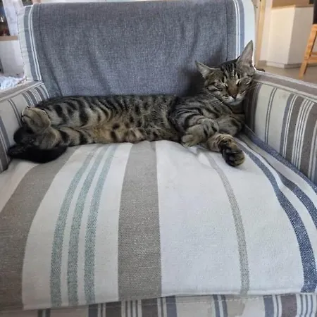 Prázdninový dům Noelia Maison Familiale 120m2 A 300m De La De Bonne Source *